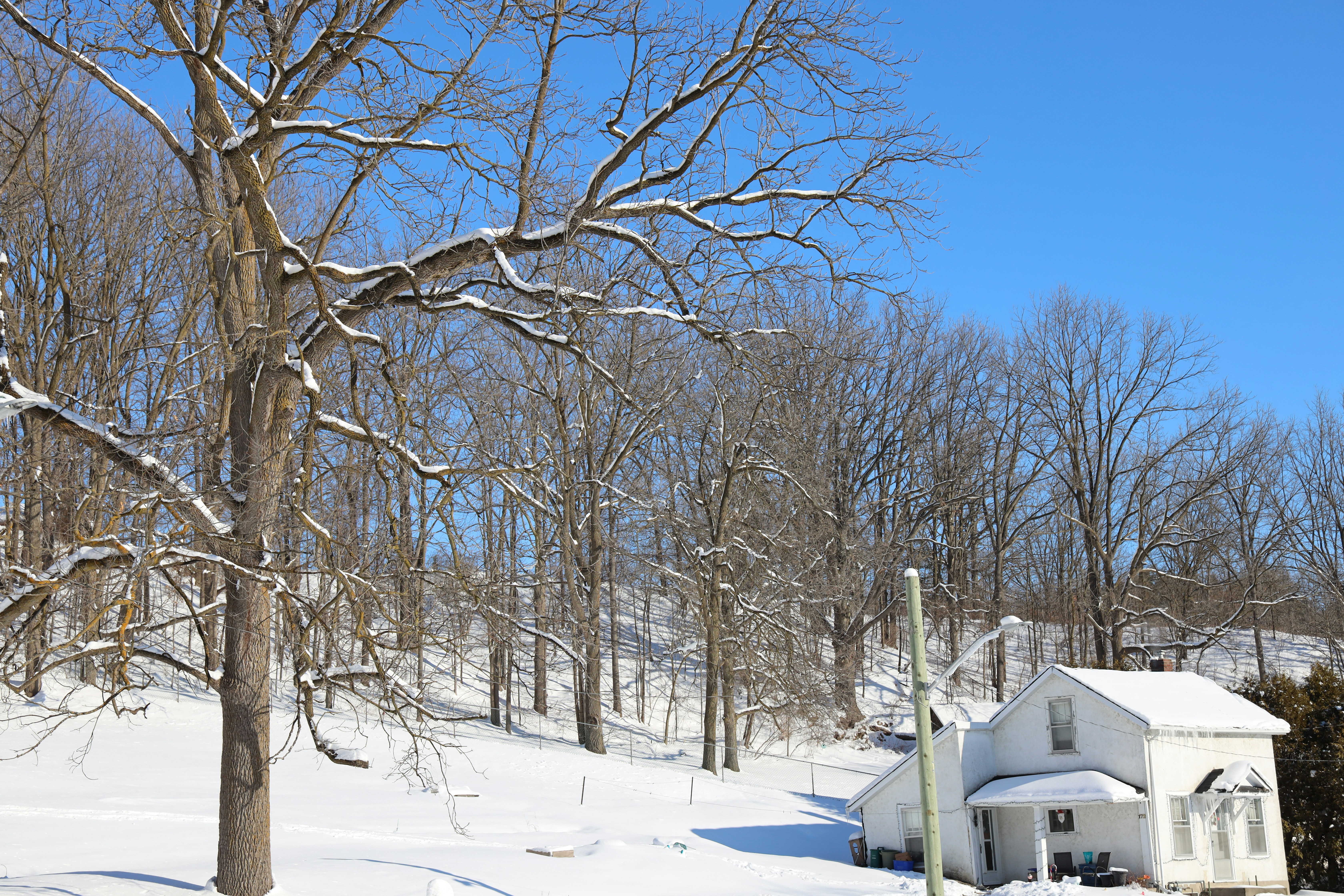 Photo by richardworks