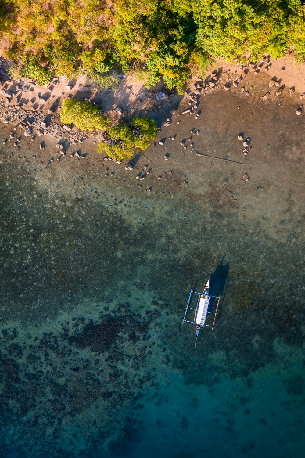 aerial view of people on beach during daytime