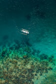 white and brown boat on blue sea water during daytime