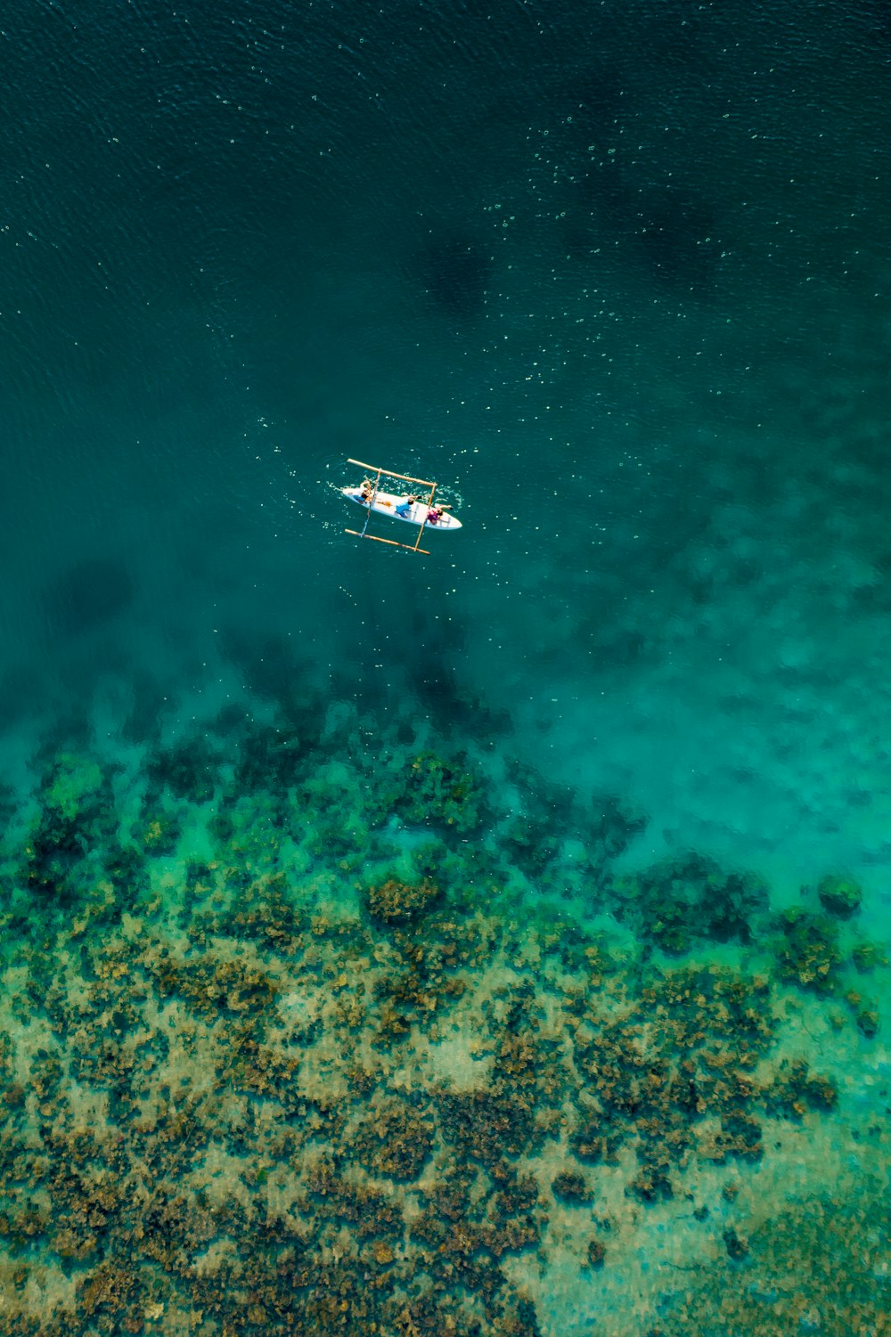 昼間の青い海に浮かぶ白と茶色のボート