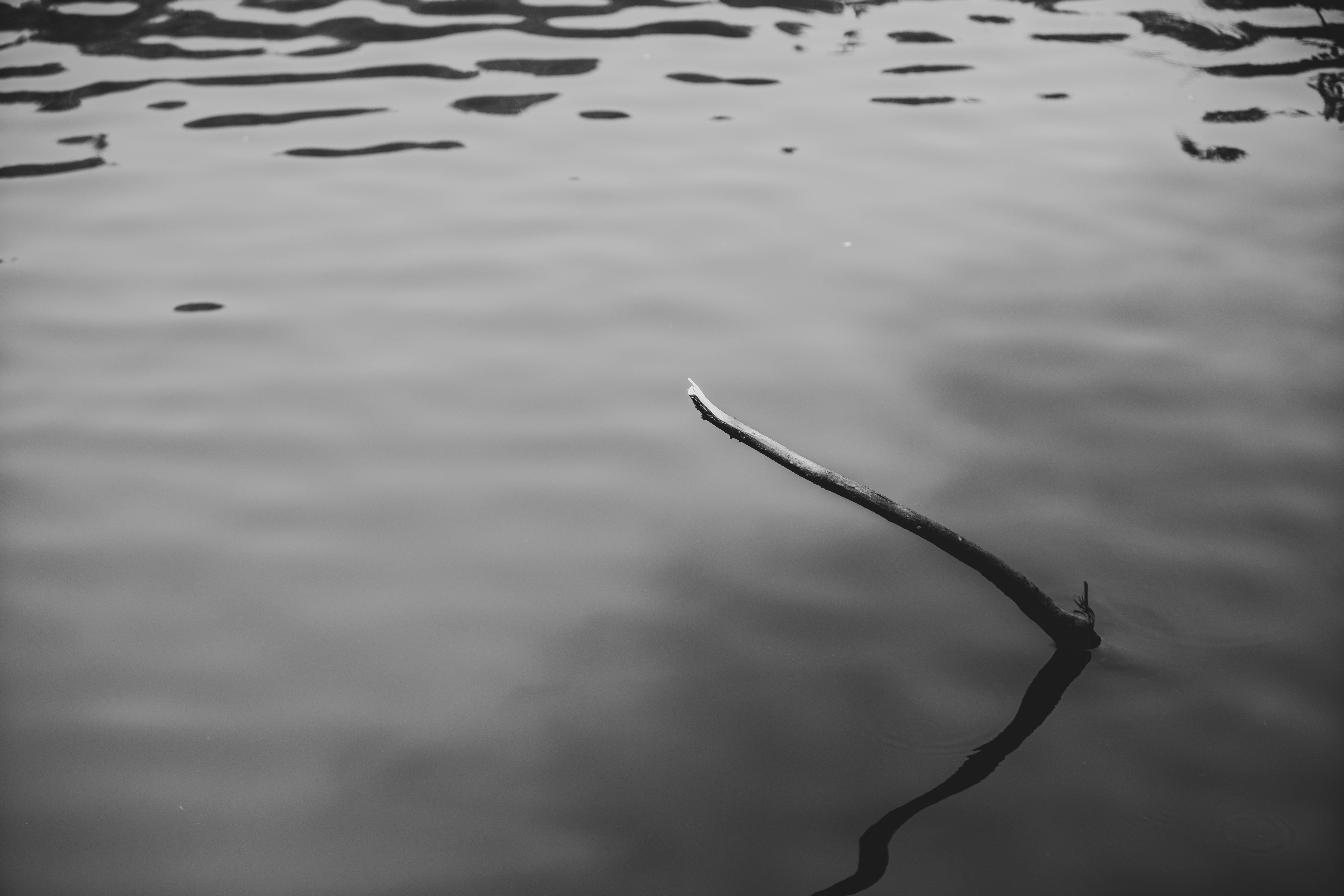 Photo by maybeimdreaming