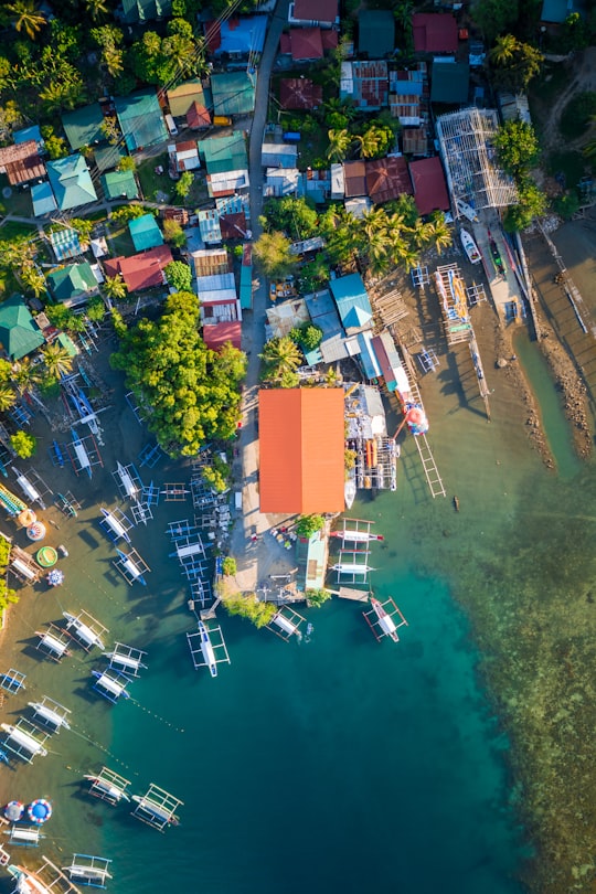 aerial view of buildings and trees during daytime in Puerto Galera Philippines