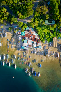 aerial view of houses near body of water during daytime