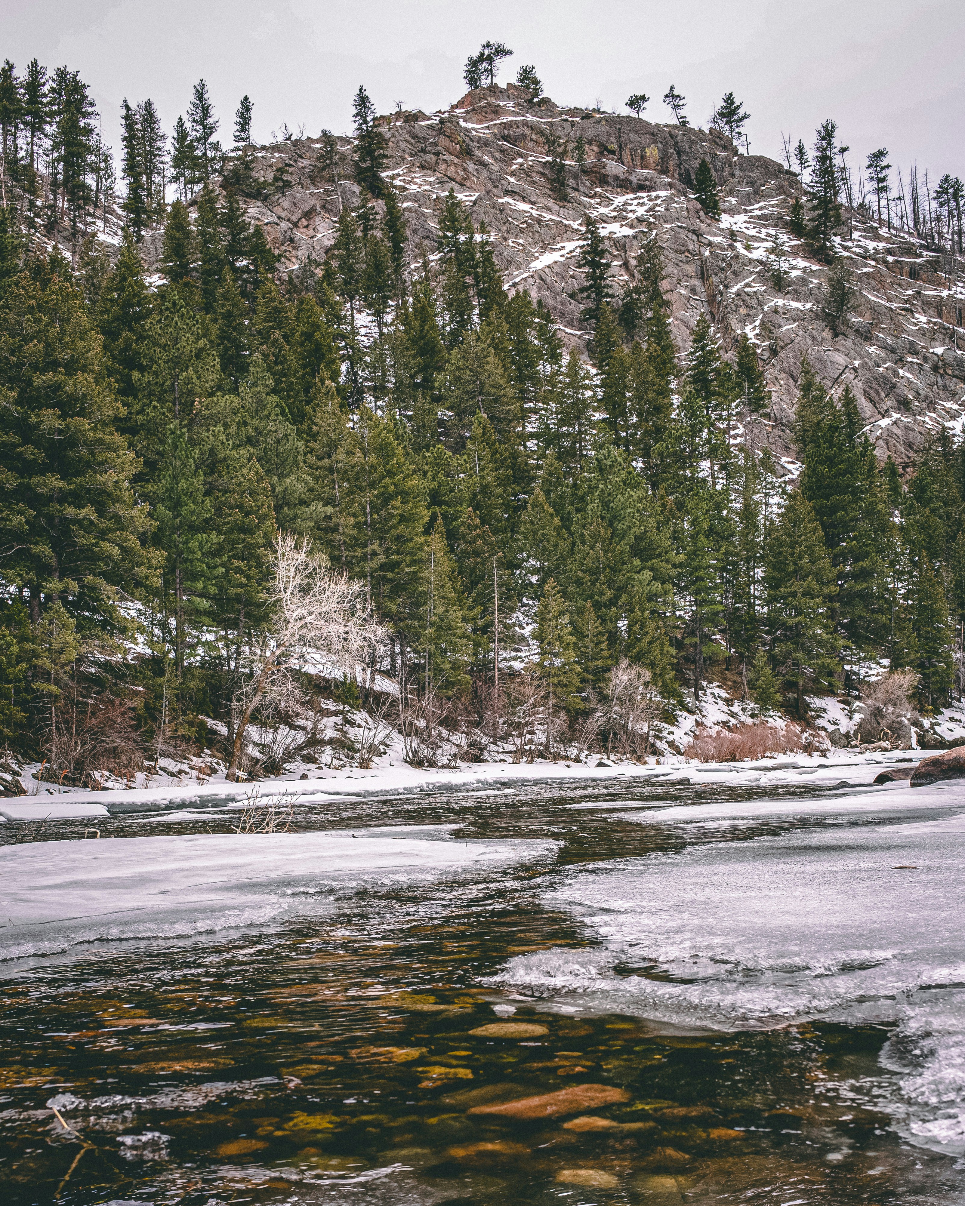 Photo by joshfrenette