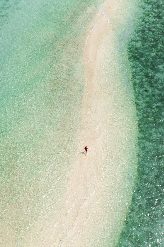 aerial view of person surfing on sea during daytime in El Nido Philippines