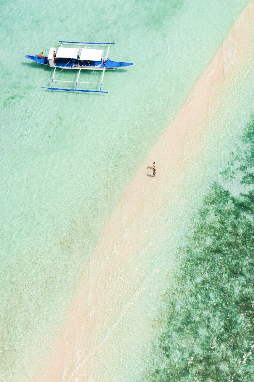 people on beach during daytime