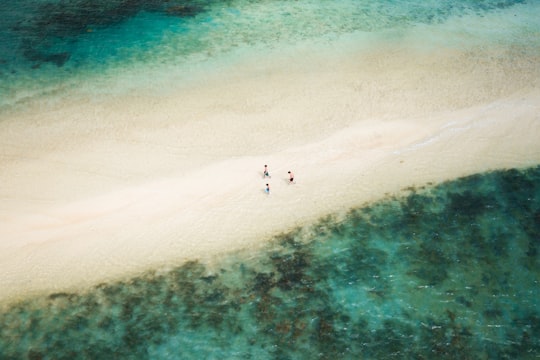 aerial view of people on beach during daytime in El Nido Philippines