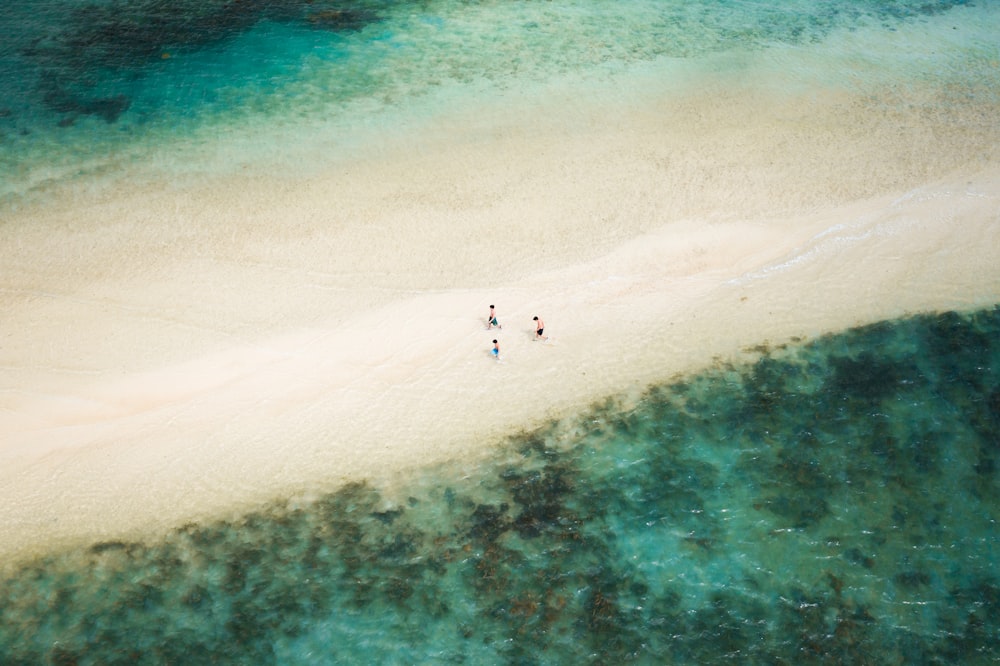 aerial view of people on beach during daytime