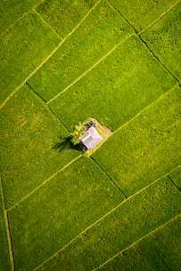 Aerial view of a finca with cultivated fields and a small house.