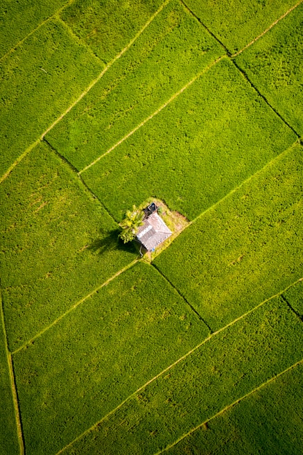 Close-up drone photo of a historic Normandy farmhouse surrounded by lush greenery.