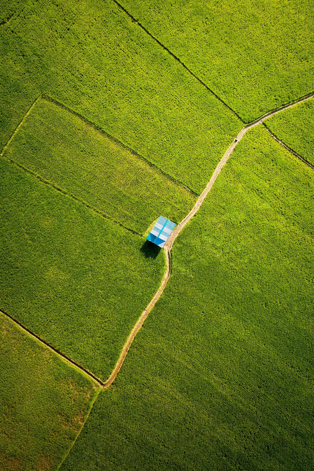 blue and white plastic container on green grass field