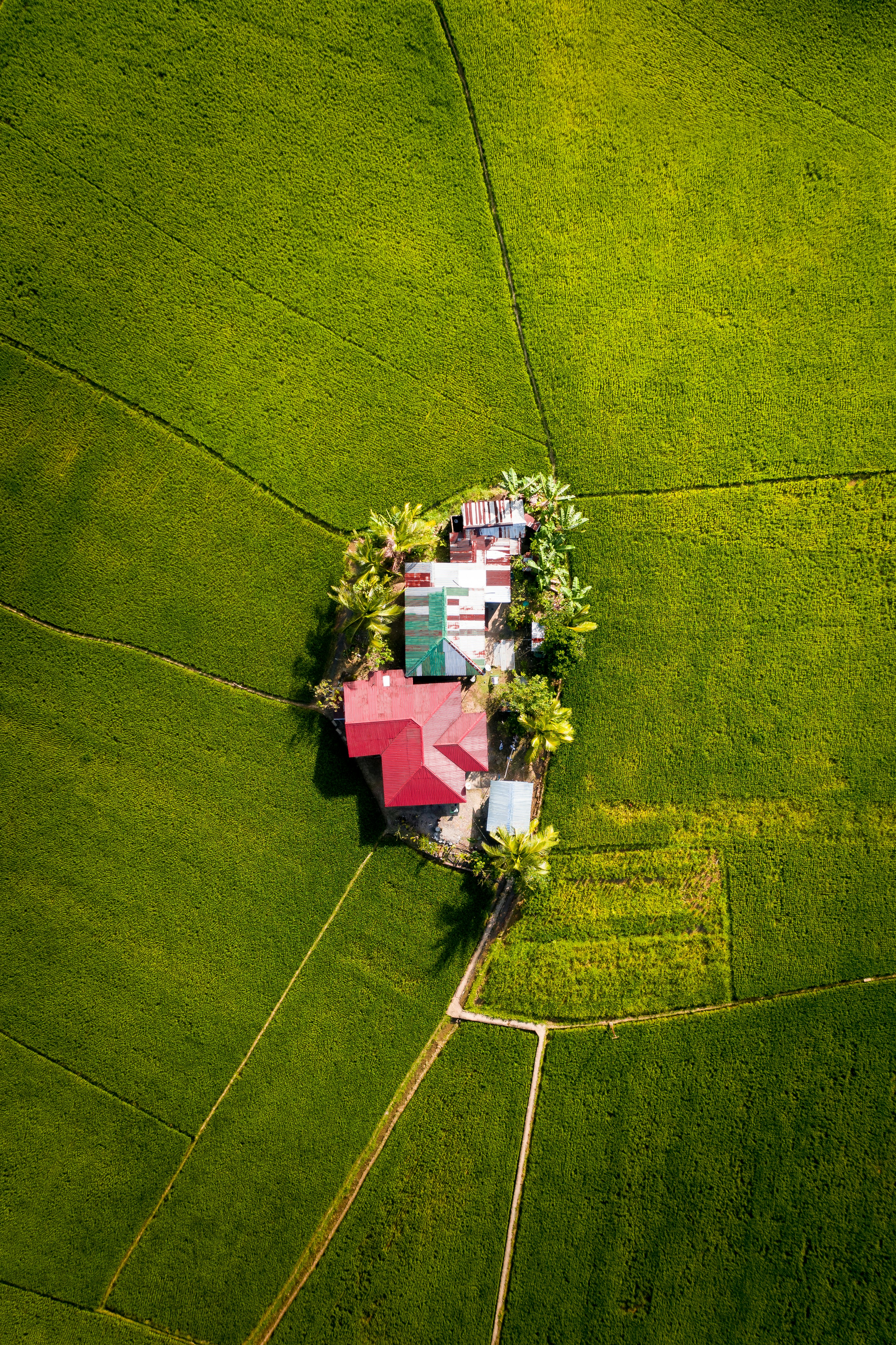 aerial view of green grass field