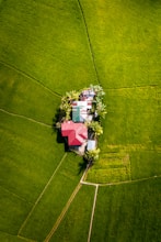 aerial view of green grass field