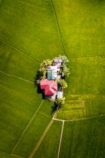 aerial view of green grass field