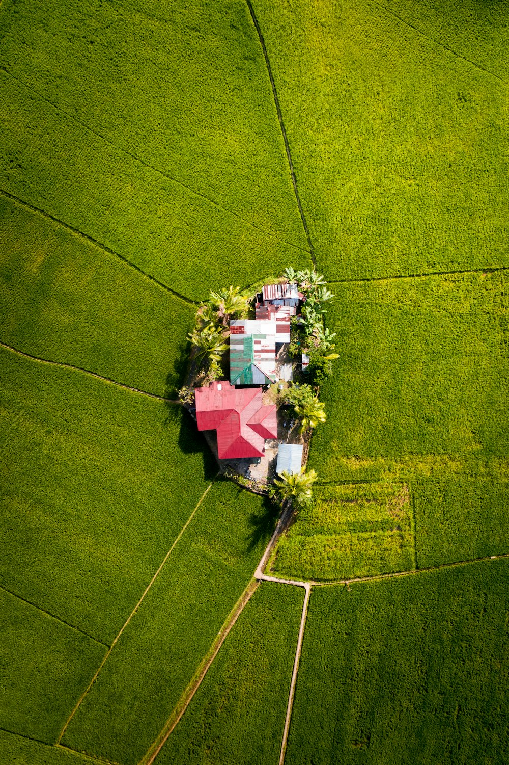 aerial view of green grass field