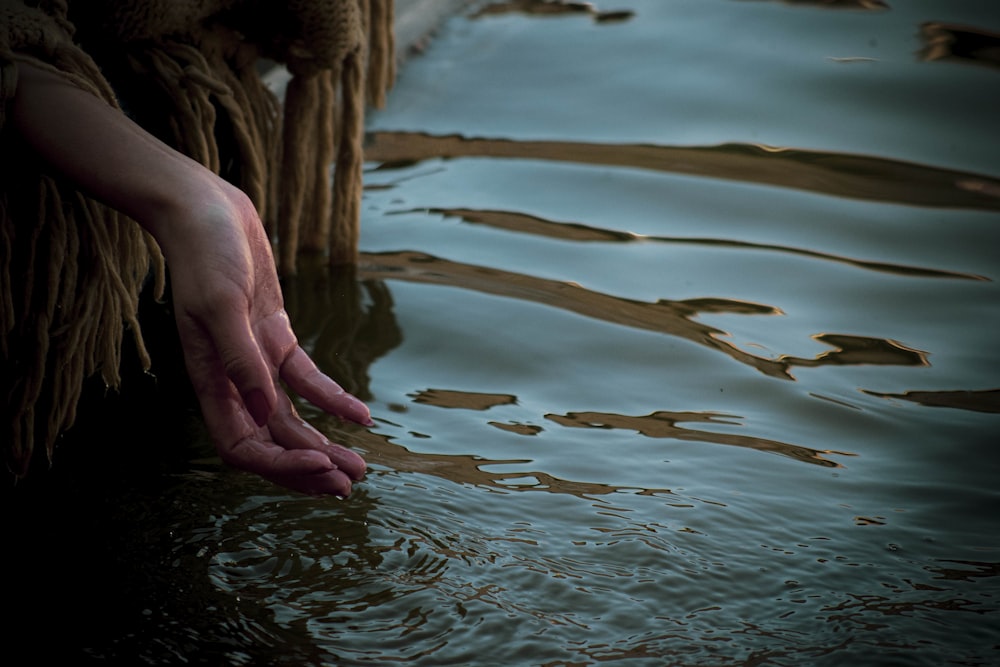 persons hand on water