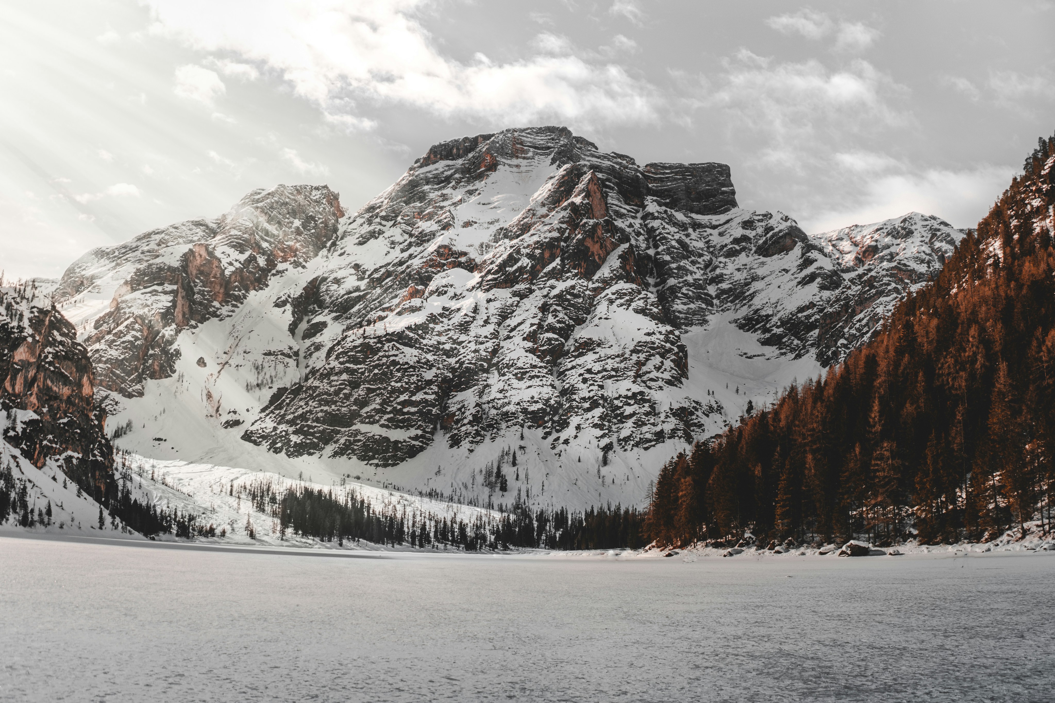 Définition de braise Dictionnaire français
