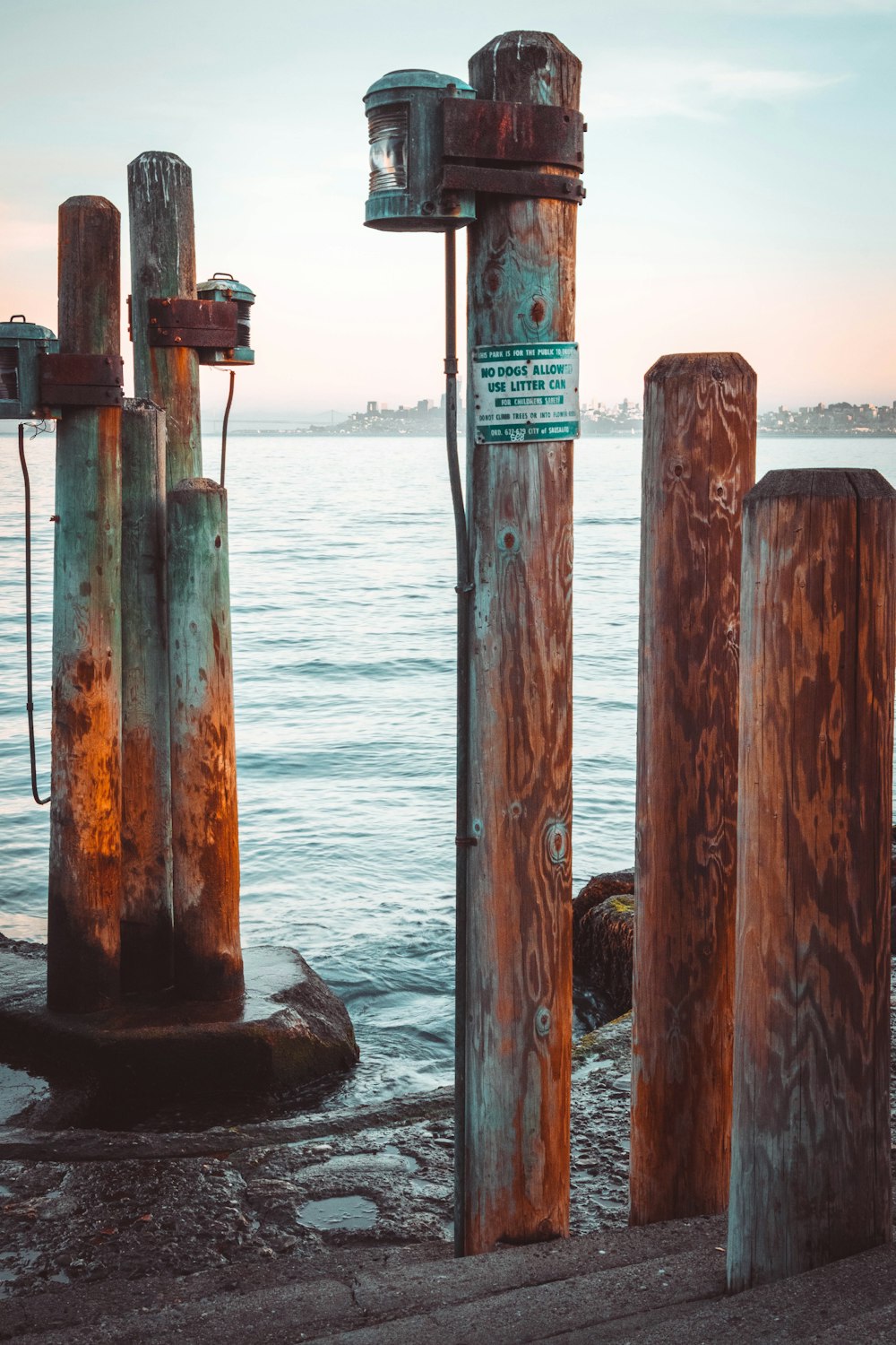 brown wooden post on beach during daytime