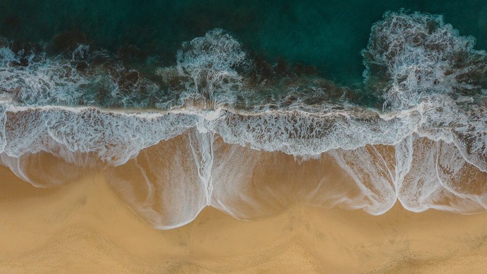 white and blue water waves