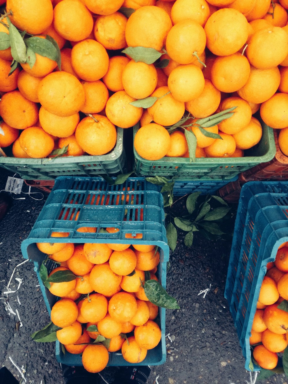 orange fruits in blue plastic crate