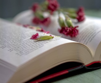 red and white flowers on book page