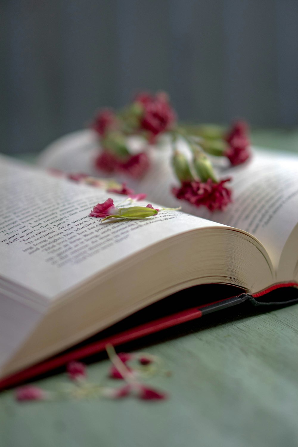 red and white flowers on book page