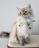 A fluffy cat posing proudly with a vibrant handmade collar, surrounded by playful yarn balls.