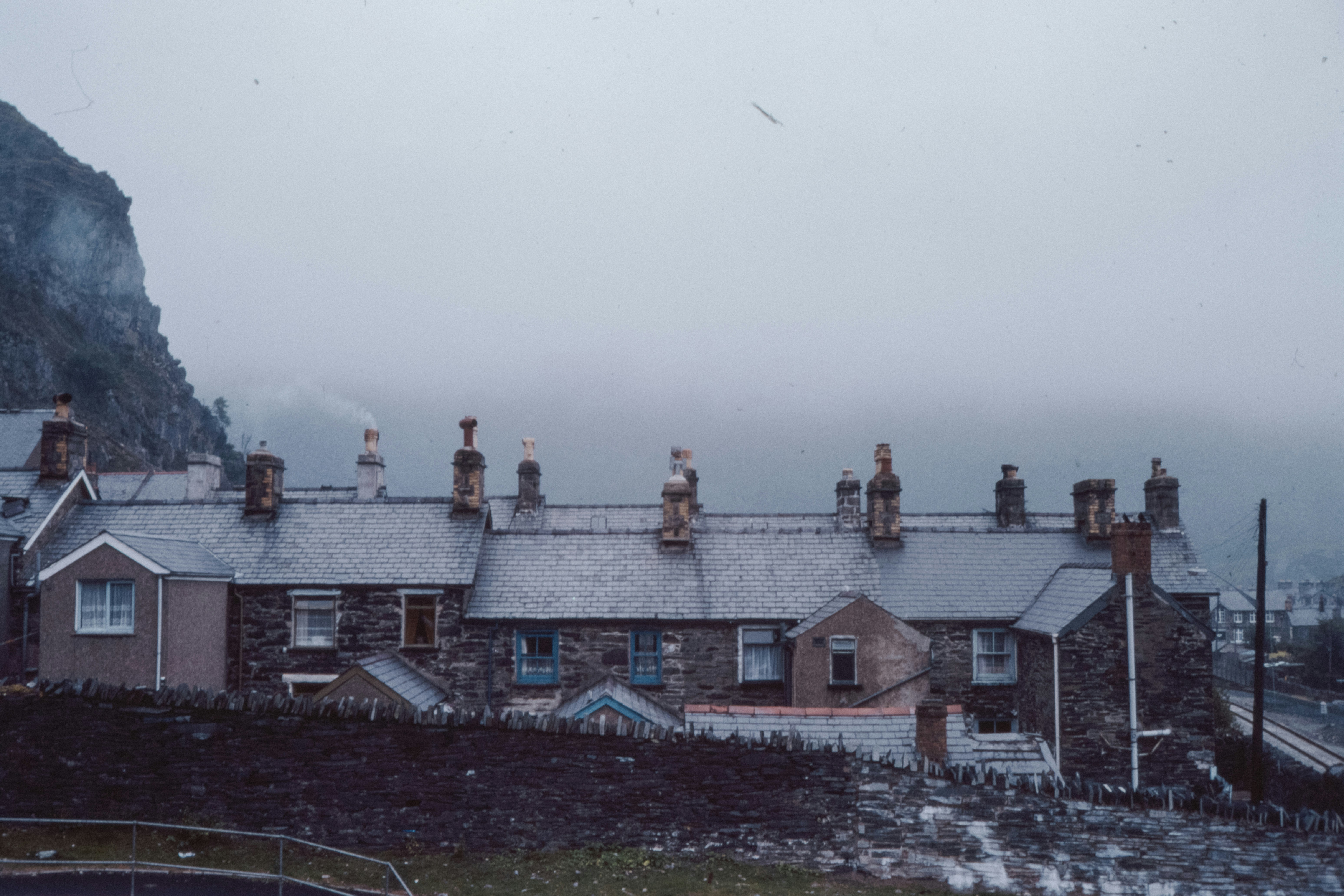 Photo by anniespratt