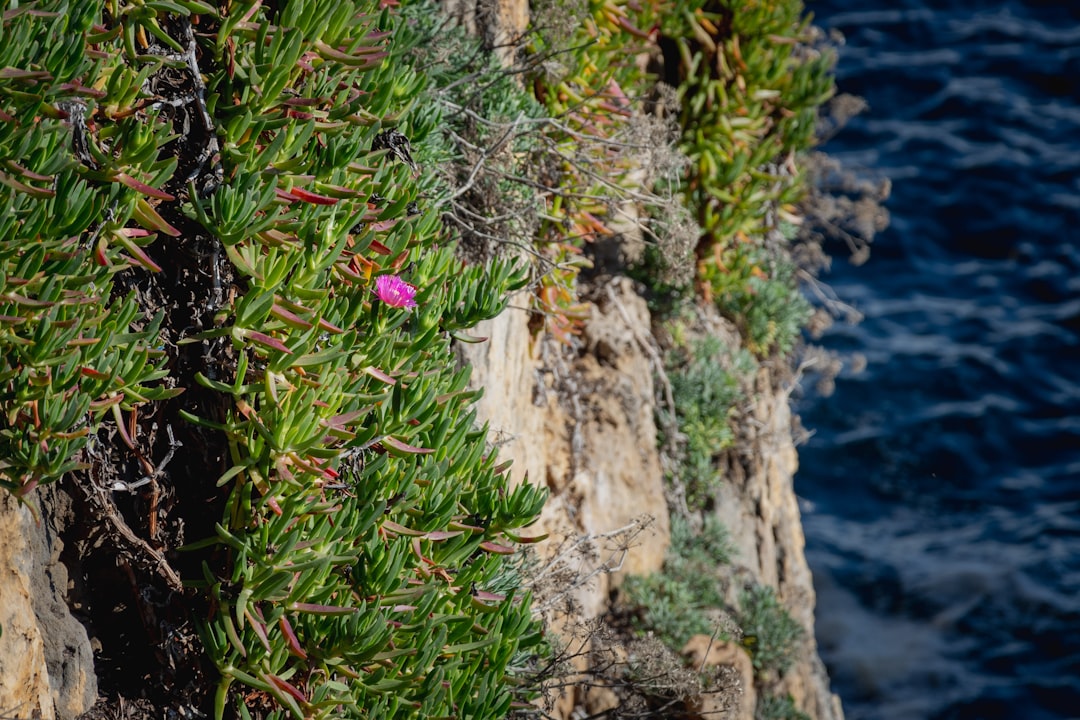 Cliff photo spot Boca do Inferno Monsanto