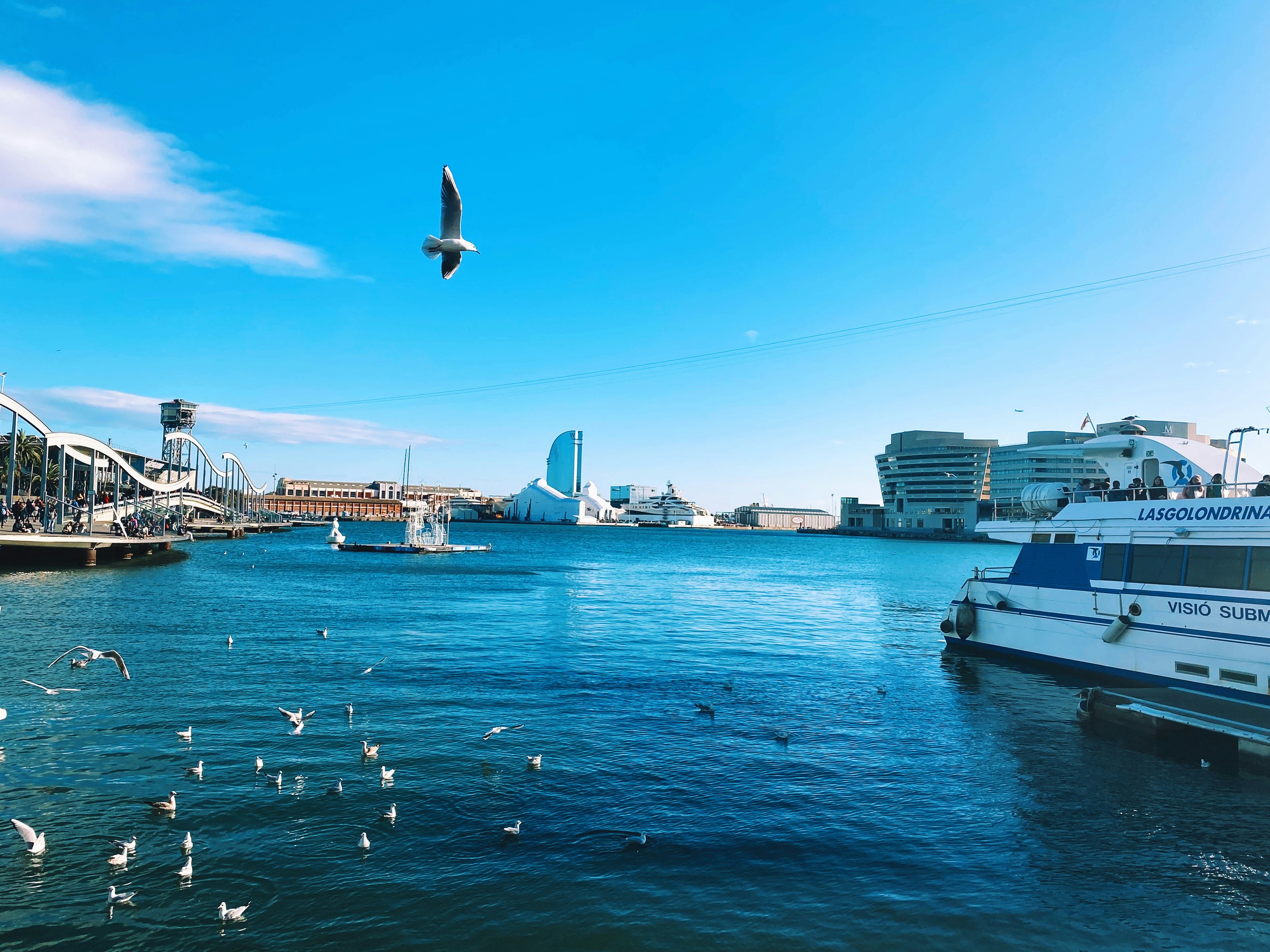 巴西Claro、VIVO、Algar Telecom、TIM、OI五大运营商查询话费余额指南