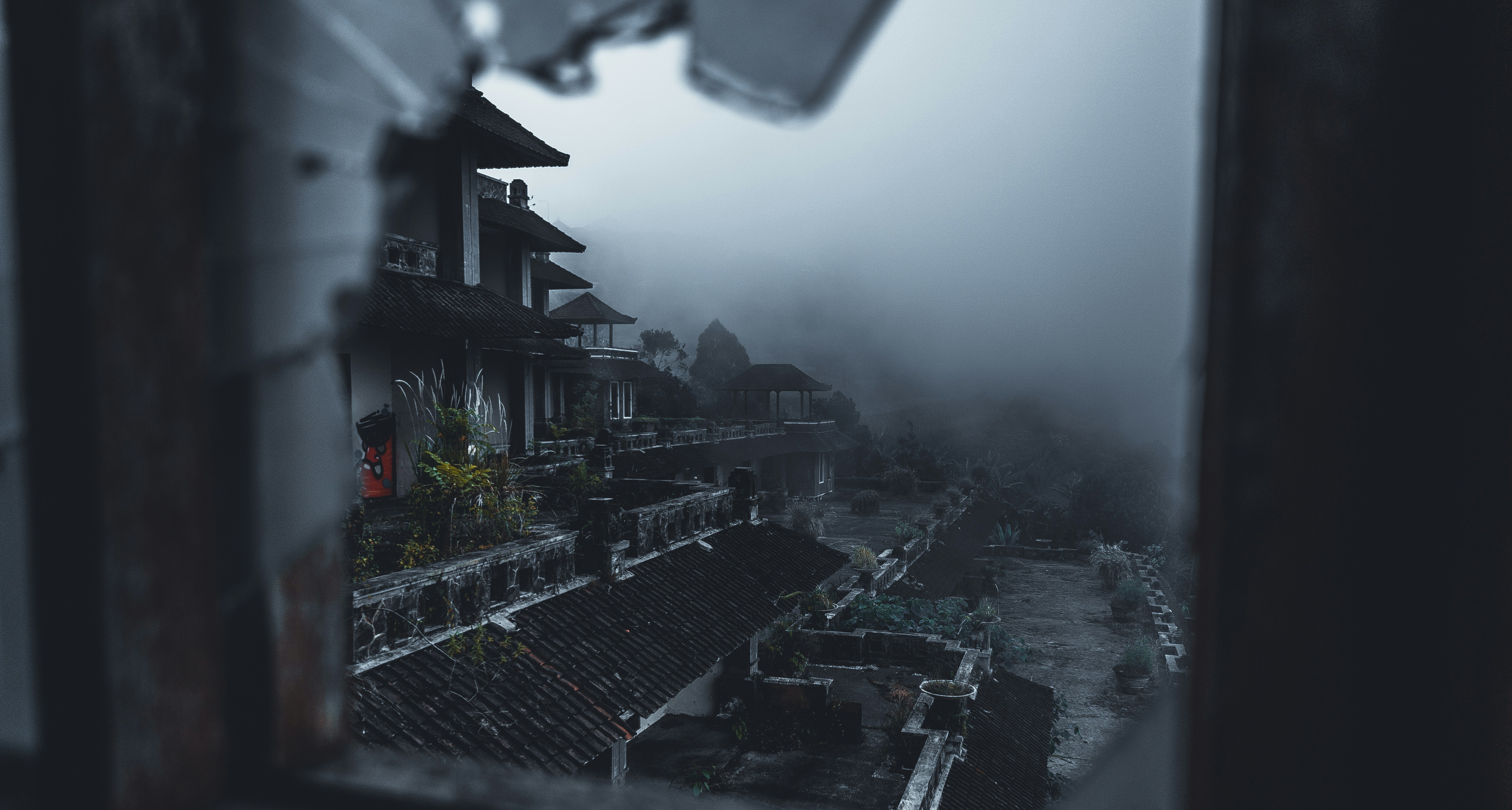 Photo by sotalost