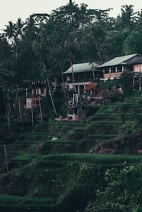 A serene Uttarakhand village landscape with farmers using modern technology amidst lush green fields.