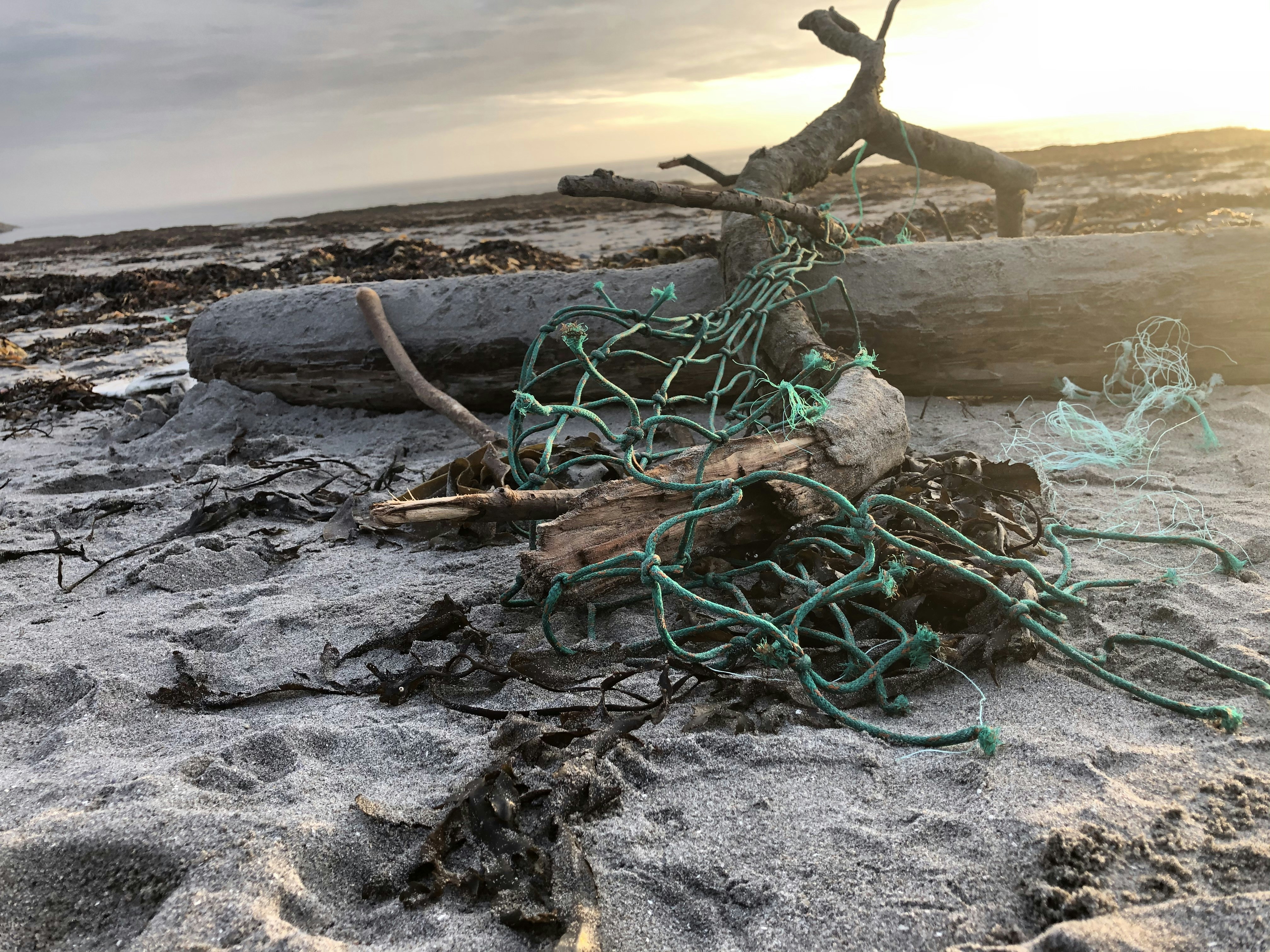 green rope on gray sand