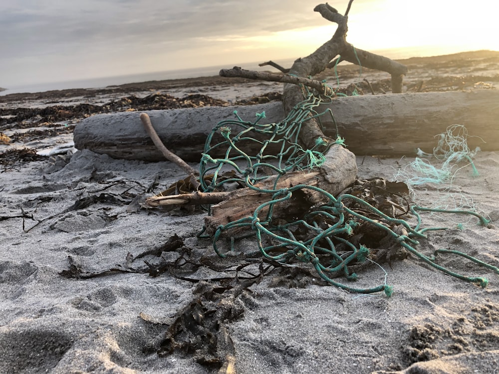 green rope on gray sand