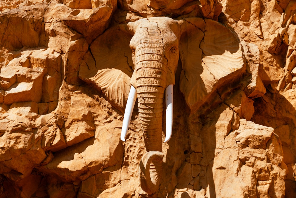 brown elephant on brown rock formation
