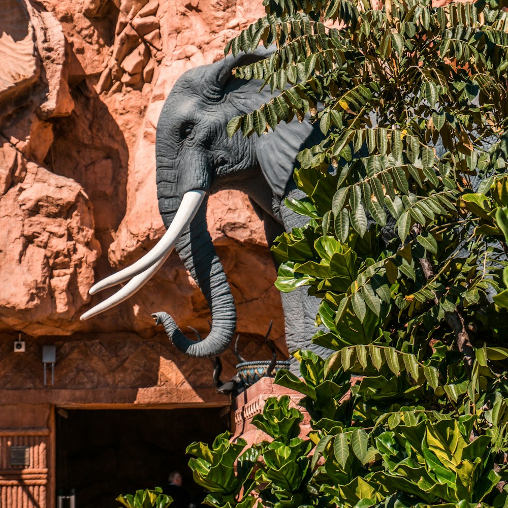 grey elephant statue near green plant