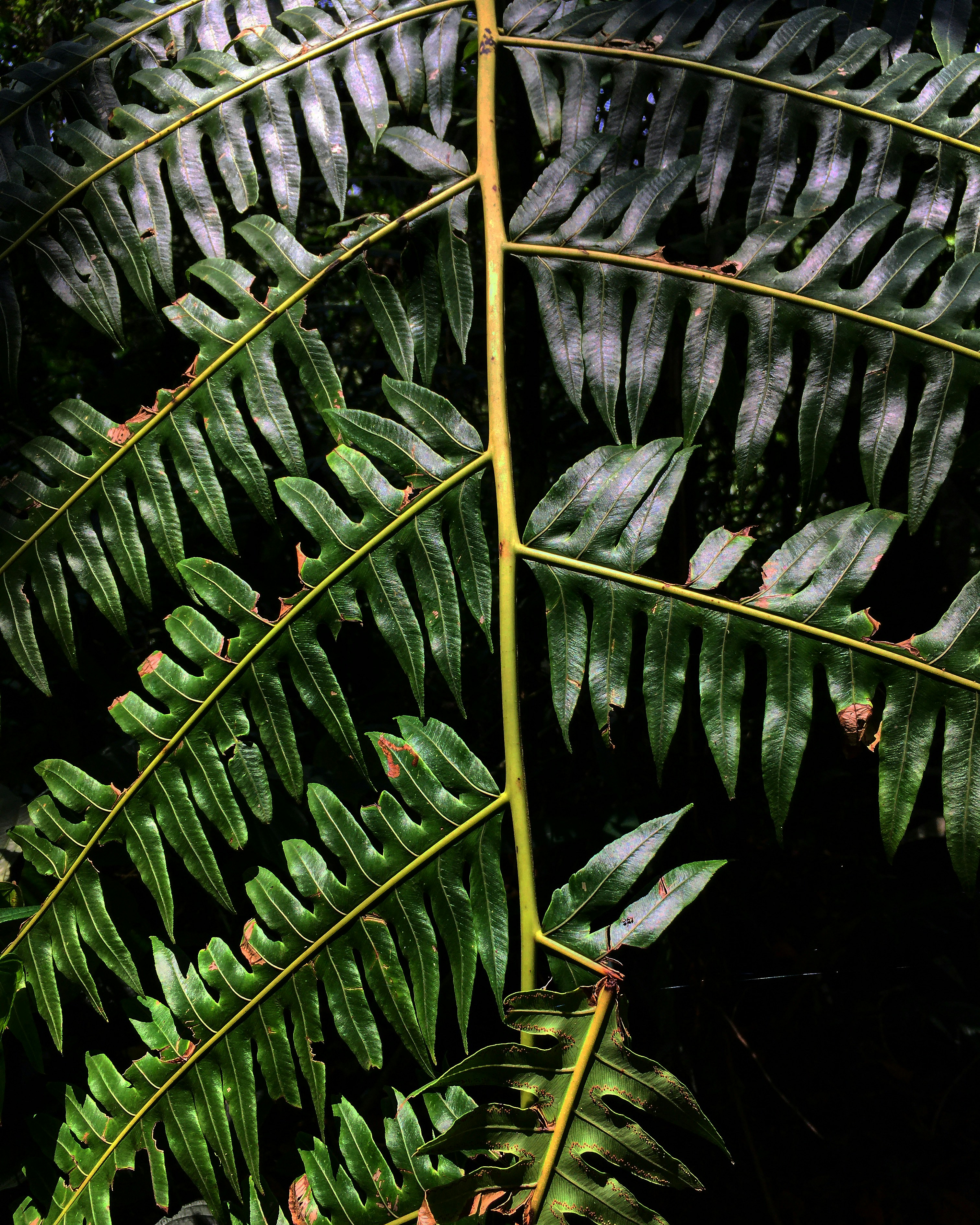 Photo by egarcial1111