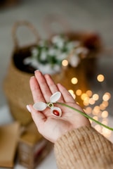 person holding white and red flower