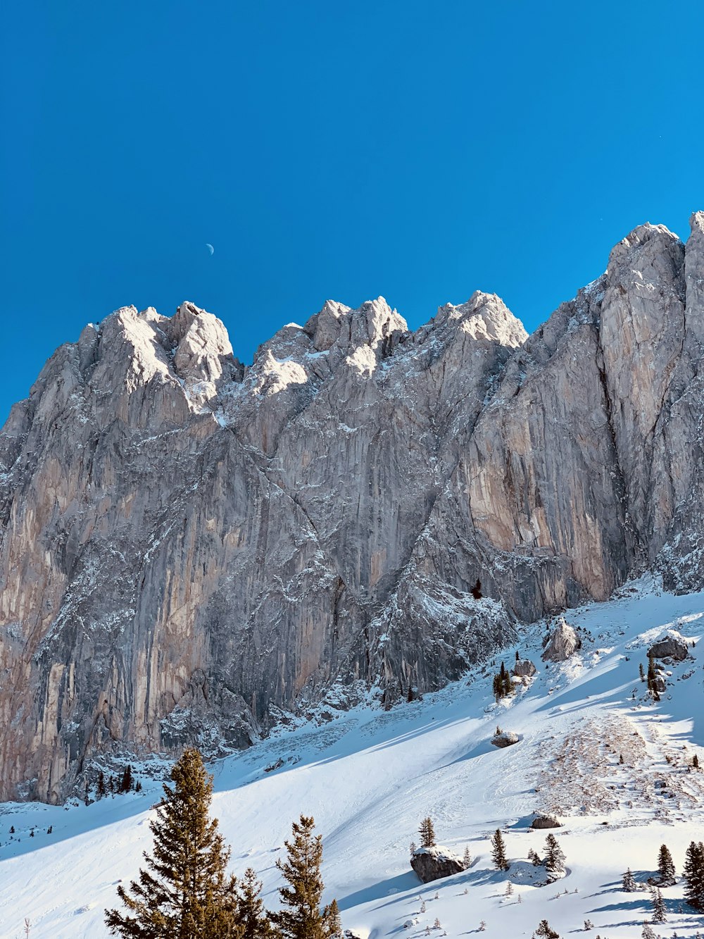 Alberi marroni su terreno coperto di neve vicino a una montagna rocciosa sotto il cielo blu durante il giorno