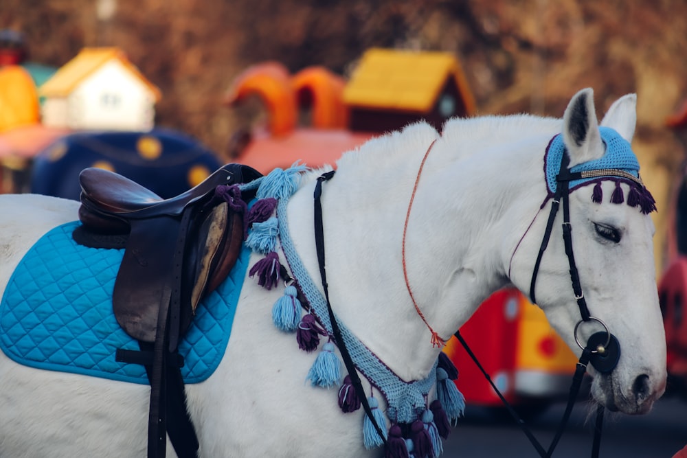 white horse with brown leather saddle