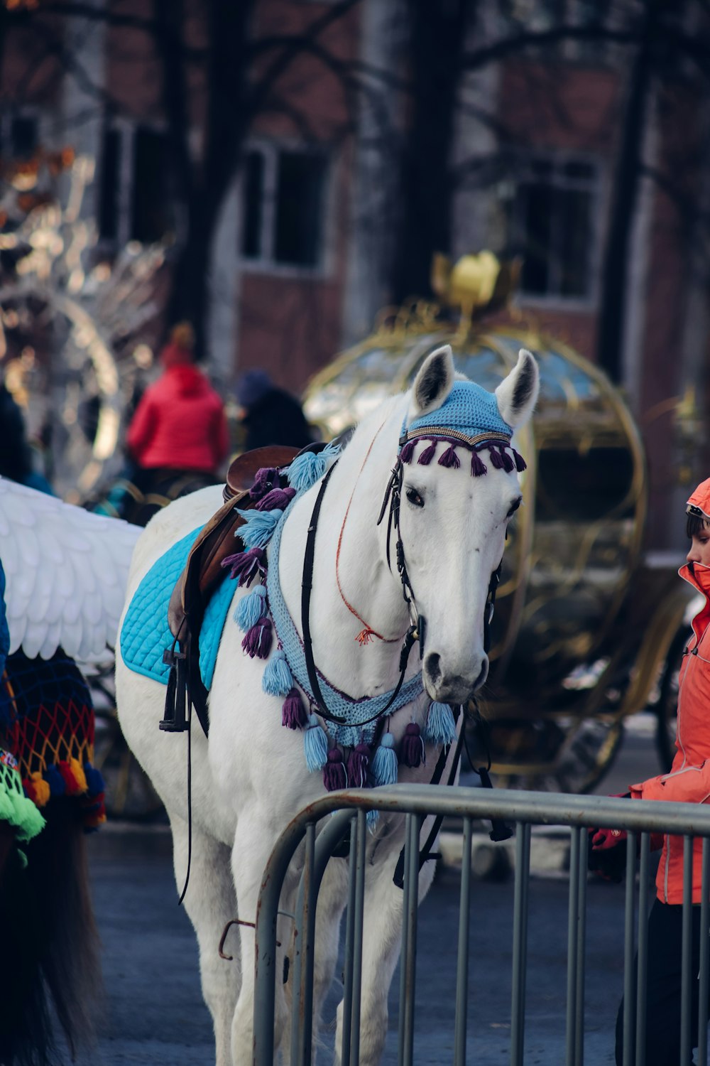 white horse with red and blue horse carriage