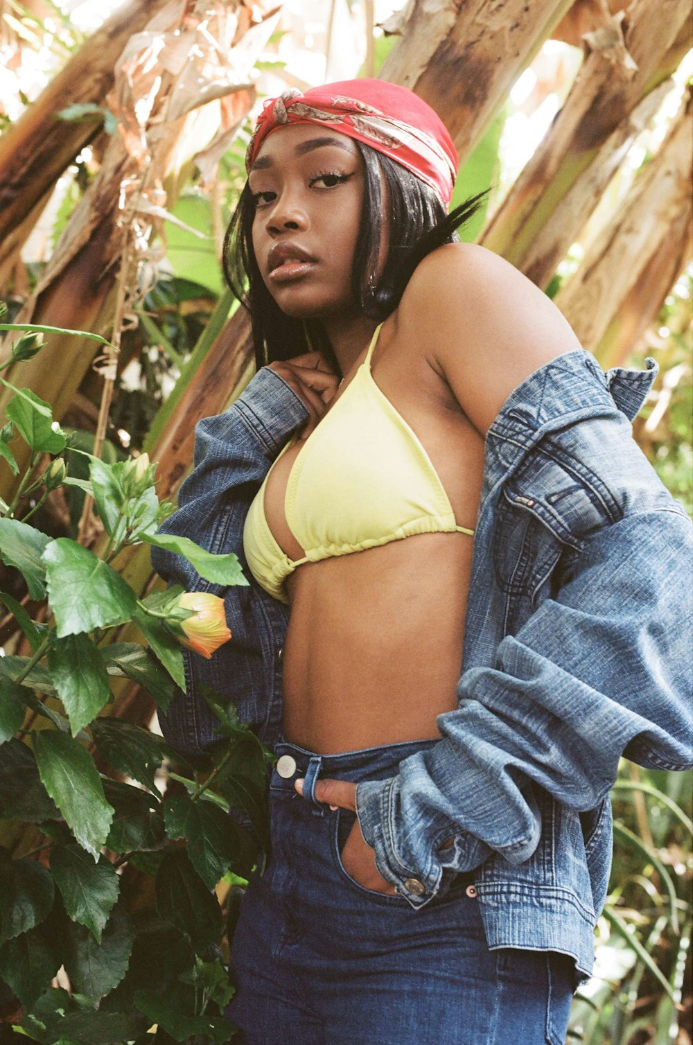 woman in yellow brassiere and blue denim jeans standing beside green plant during daytime