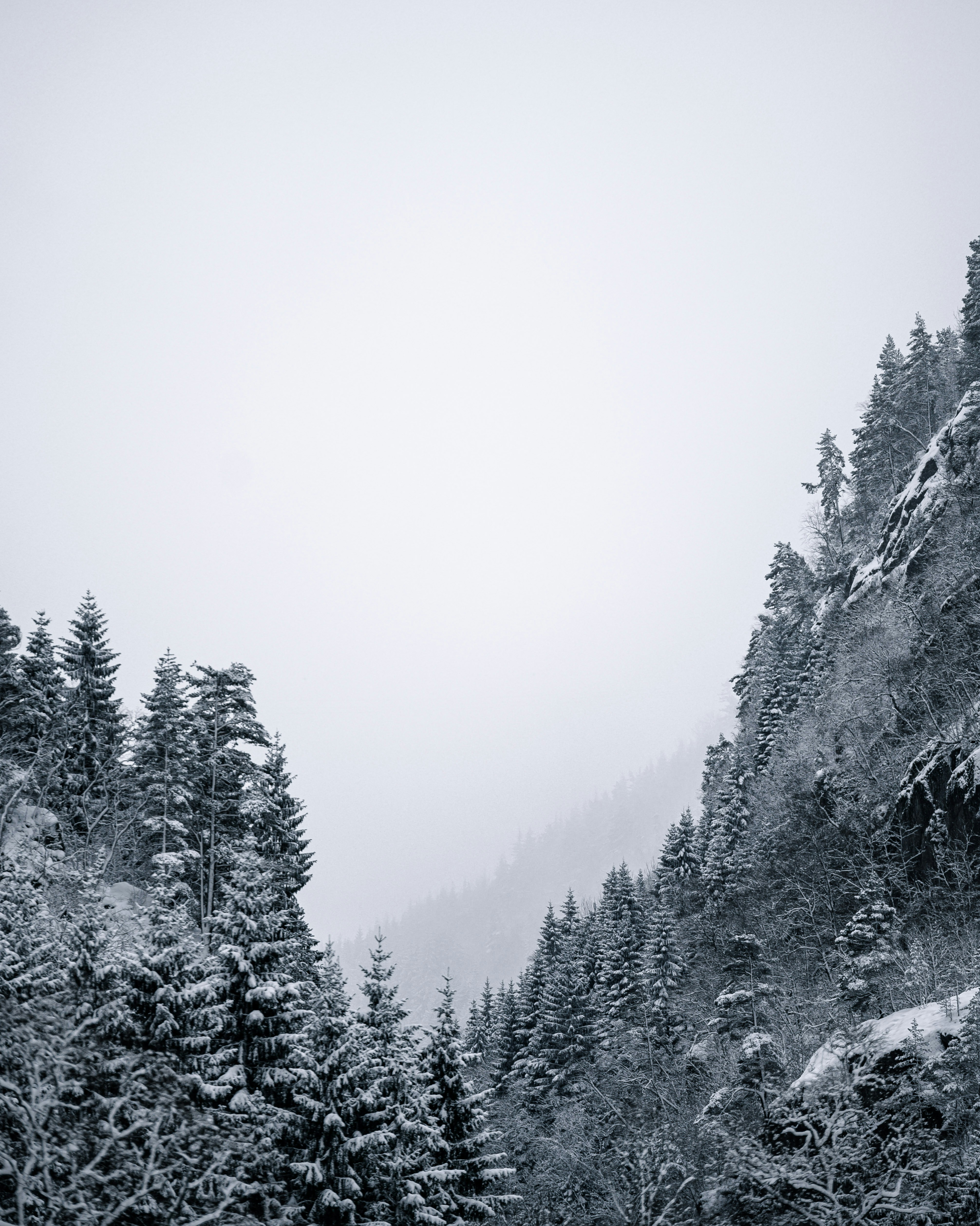 Photo by lachlangowen