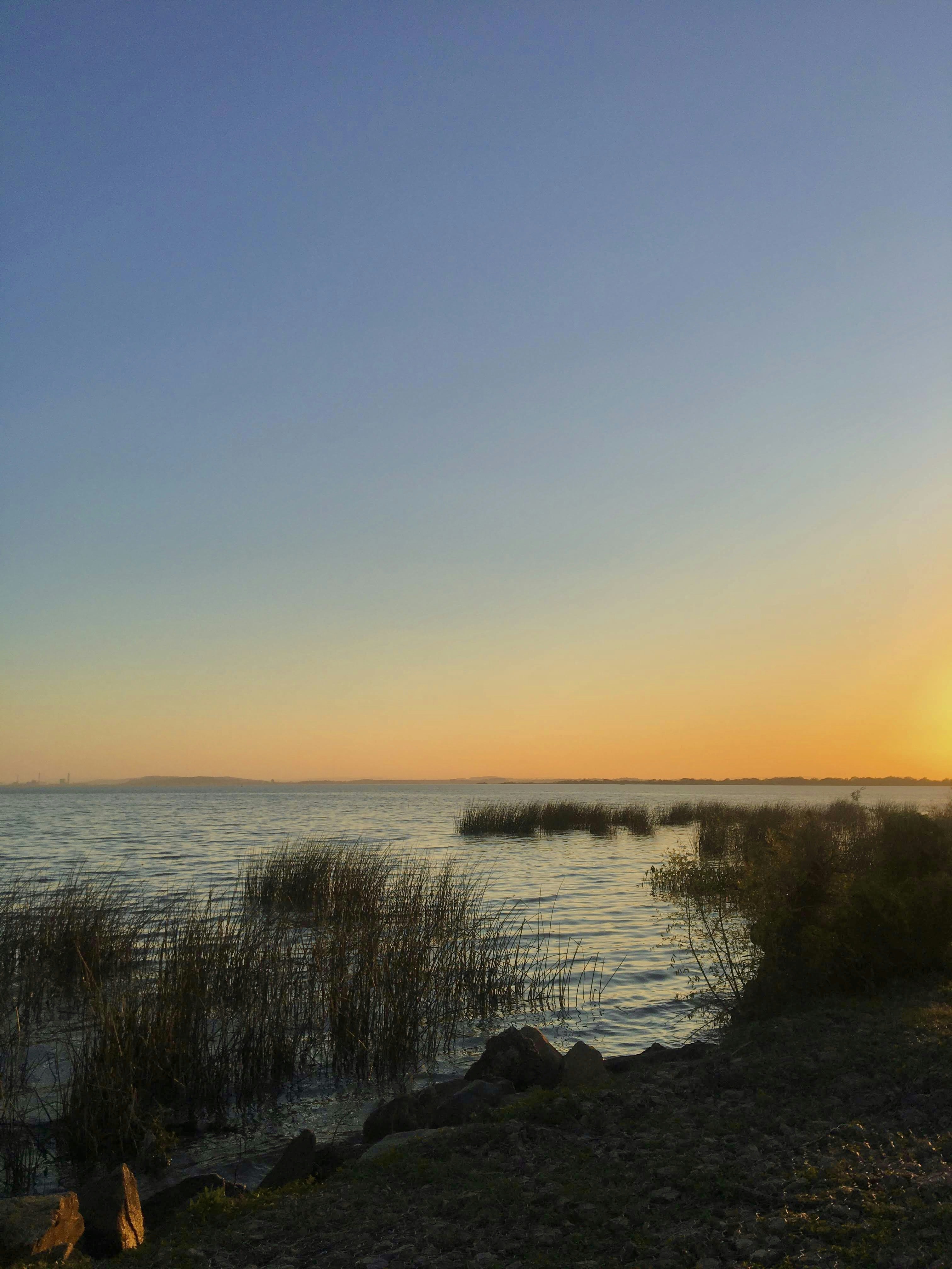 Photo by helenadebize