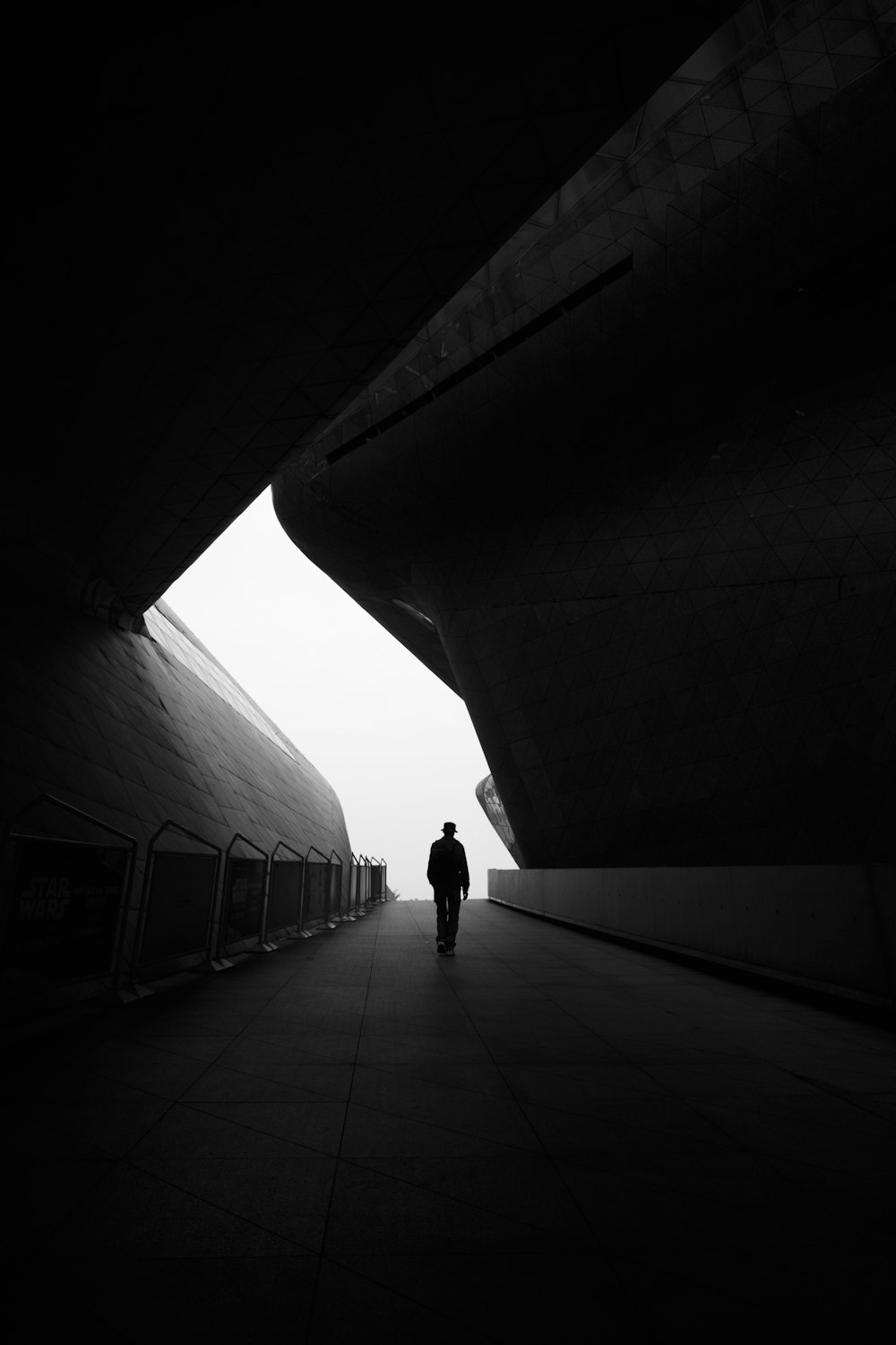 grayscale photo of person walking on pathway