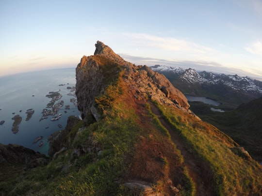 brown and green mountain beside body of water during daytime in Svolvær Norway