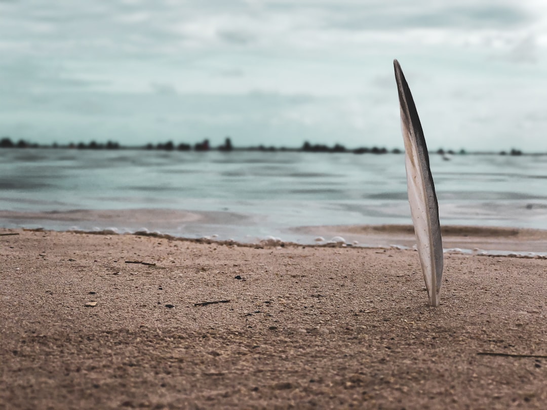 Beach photo spot Santo Domingo Dominican Republic