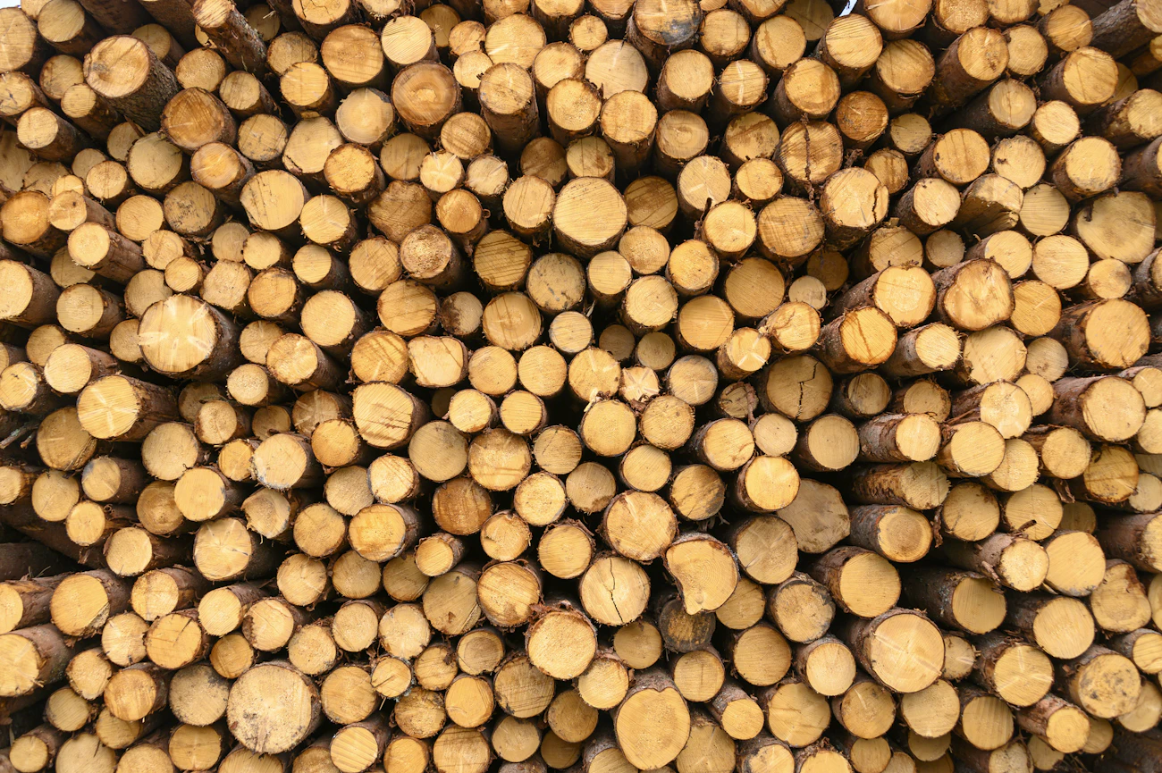 Wood logs stacked for processing