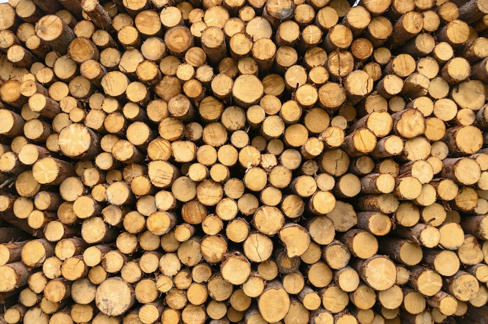 pile de bûches de bois brun