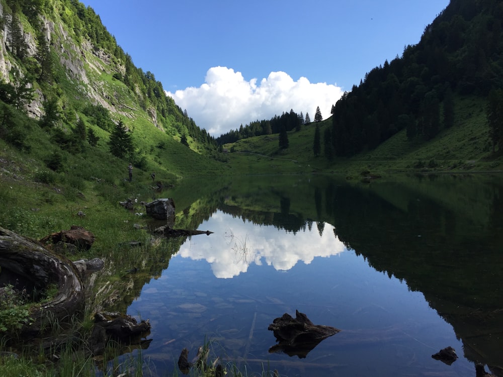 green trees and mountain beside river under blue sky during daytime